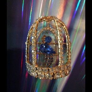 Caged Swinging Blue Bird Stunning