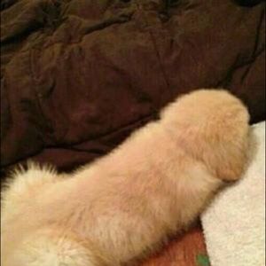 Meet your Posher, Hope