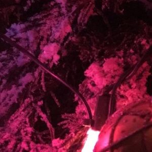 Meet your Posher, Ana