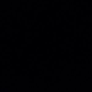 Meet your Posher, Estella