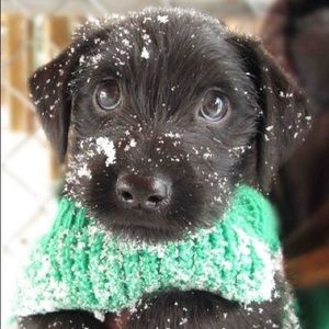 Meet your Posher, Emma