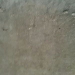 Meet your Posher, Maceo