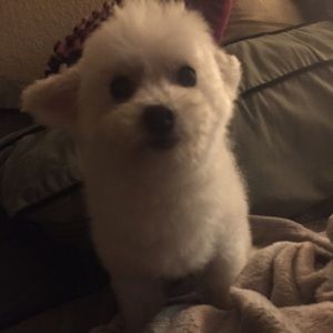 Meet your Posher, Catherine