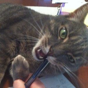 Meet your Posher, Eva