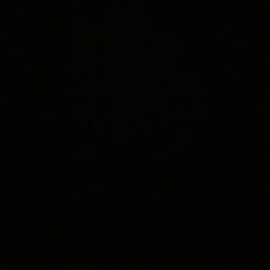 Meet your Posher, Liz