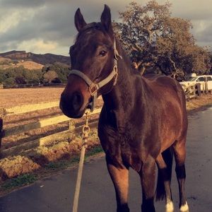 Meet your Posher, Angela