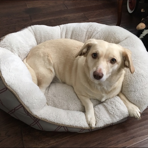 Meet your Posher, Mary - Picture 3 of 4