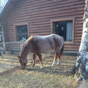 Meet your Posher, Jana