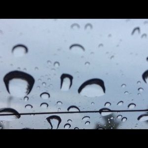 Meet your Posher, Ava