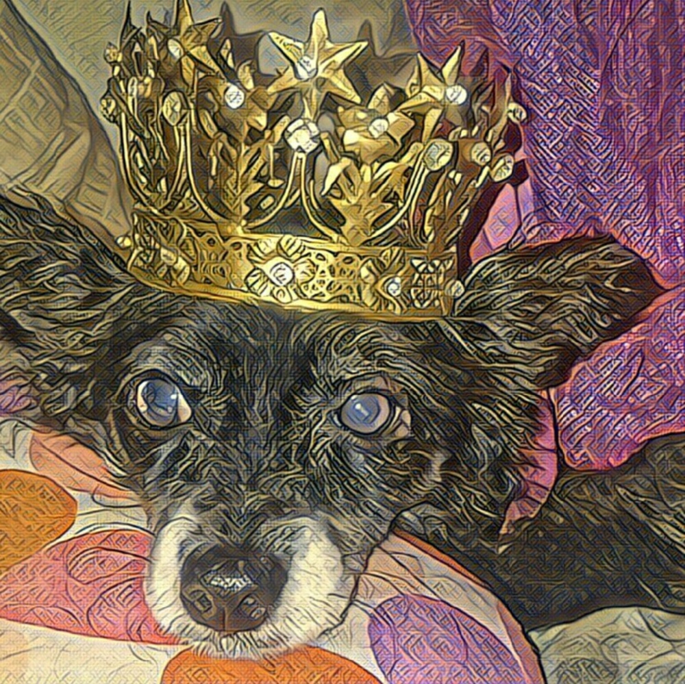 Meet your Posher, Diva Phoenix