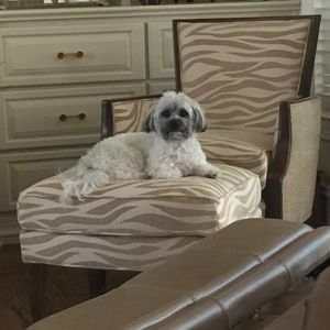 Meet your Posher, Cannon