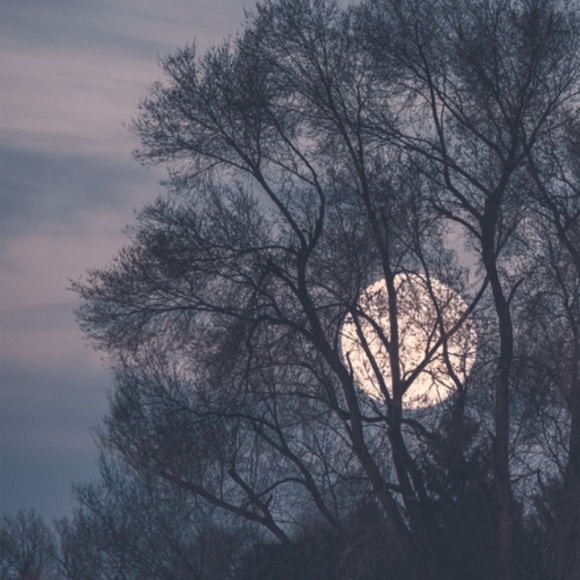 Meet your Posher, Alexandra