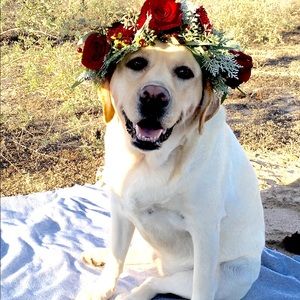 Meet your Posher, Leanne