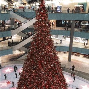 Meet your Posher, Mayra