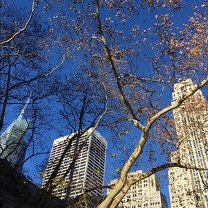 Meet your Posher, Charlene