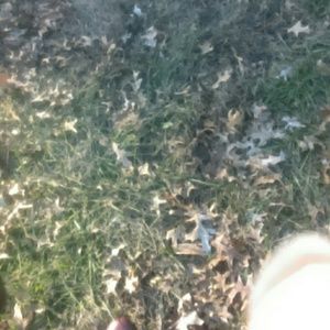 Meet your Posher, Latasha