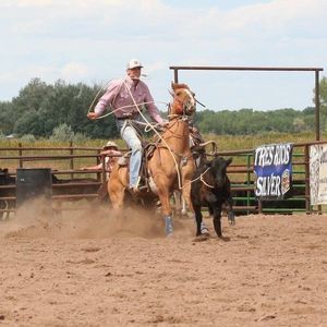 Meet your Posher, Logan