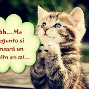 Meet your Posher, Rocio