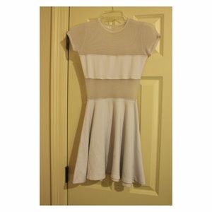 American Apparel- The Fiona Ponte Skater Dress