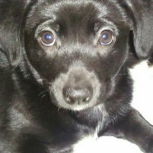 Meet your Posher, Gary