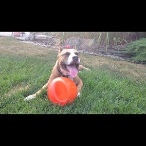 Meet your Posher, Nadia