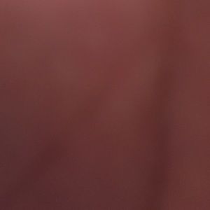 Meet your Posher, Rigo