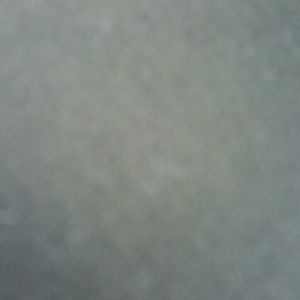 Meet your Posher, Gloria