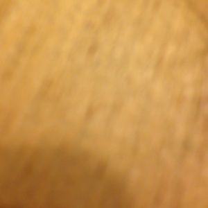 Meet your Posher, Arianna