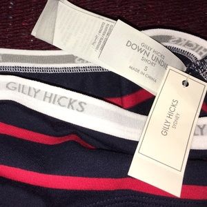 Gilly Hicks down undies