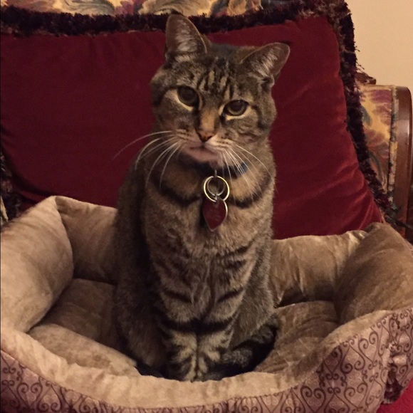 Meet your Posher, Mary