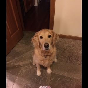 Meet your Posher, Carol