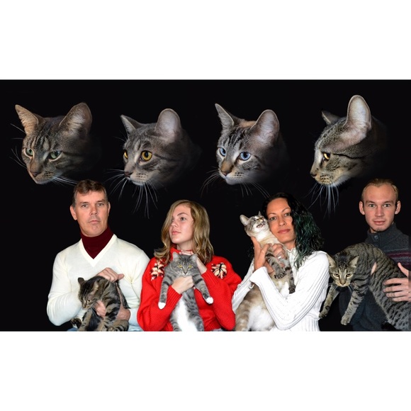 Have yourself a meowy little Christmas!