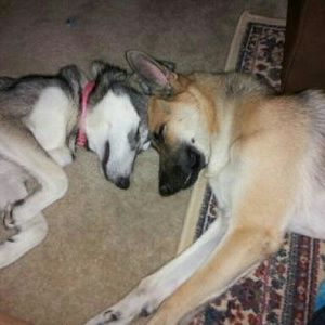 Meet your Posher, Melissa