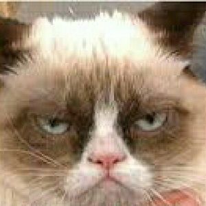 Meet your Posher, Ellio