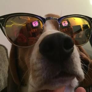 Meet your Posher, Angel