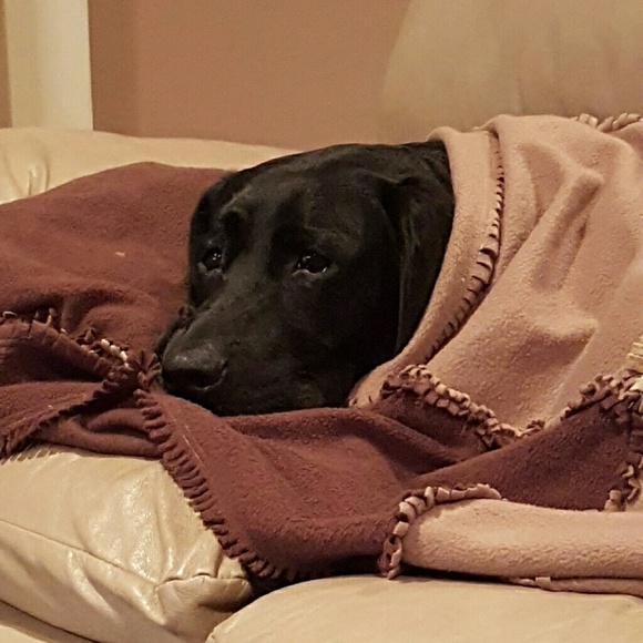 Meet your Posher, Kati - Picture 1 of 1