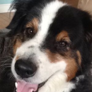 Meet your Posher, Casey