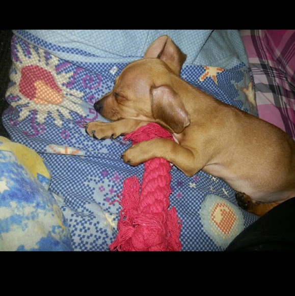 Meet me! - Picture 3 of 4