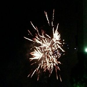 Meet your Posher, Alycyn