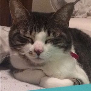 Meet your Posher, Bethany