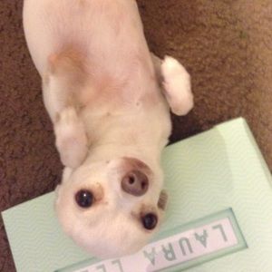 Meet your Posher, Alisa