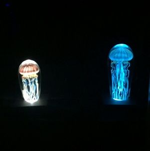 Meet your Posher, Emilia