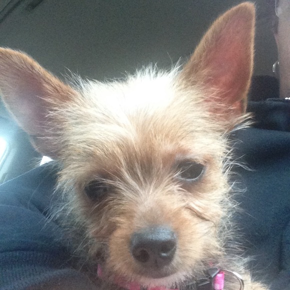 Meet your Posher, Diane