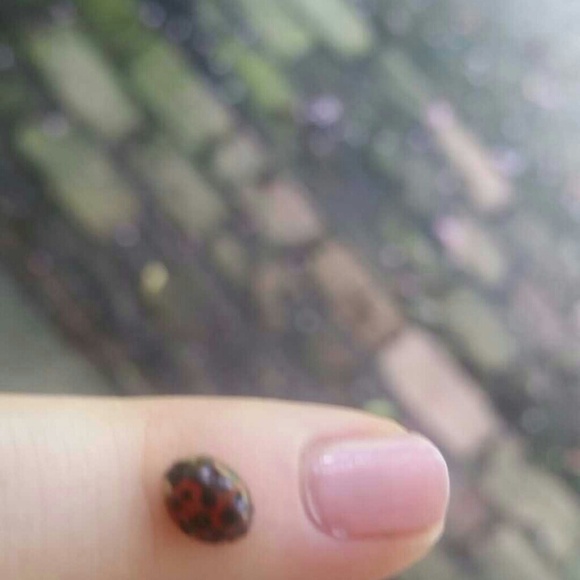 Meet your Posher, Madeleine