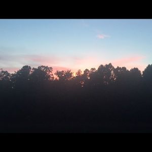 Meet your Posher, Paige