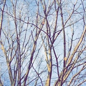 Meet your Posher, Fatima