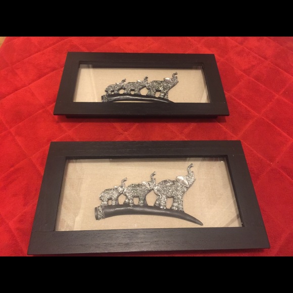 Elephant pictures