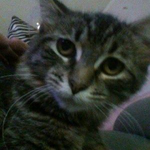 Meet your Posher, Leah