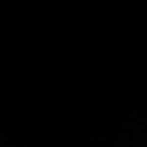 Meet your Posher, Jesus