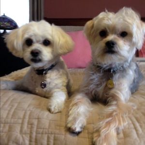 Meet your Posher, Tammy